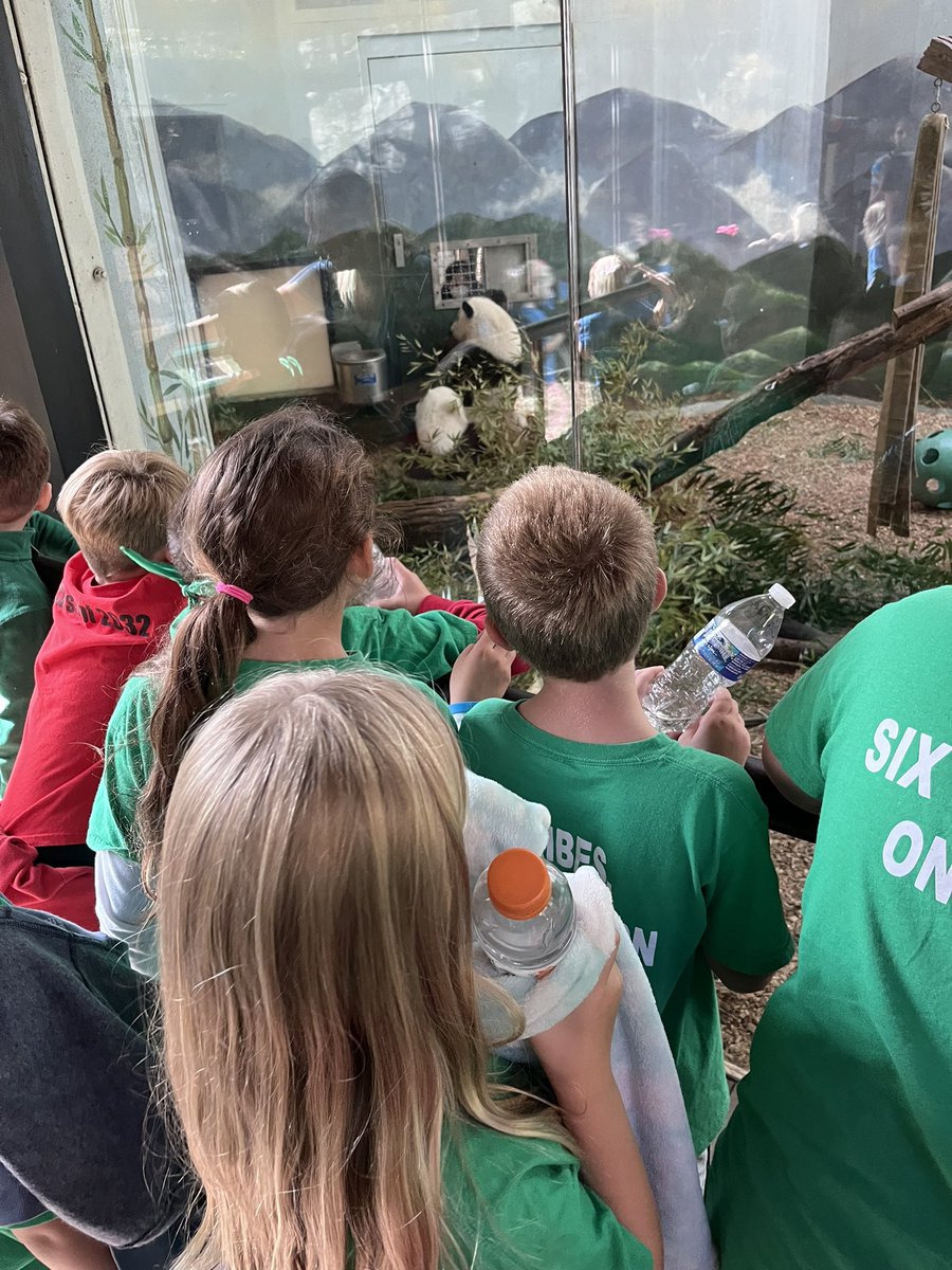 MrsFauldsRm217's tweet photo. Visiting the zoo as part of our investigation for our year long PBL project to build a zoo habitat for Georgia animals from each region. @ClarkCreekSTEM @CherokeeSchools https://t.co/1WyarzkVhR