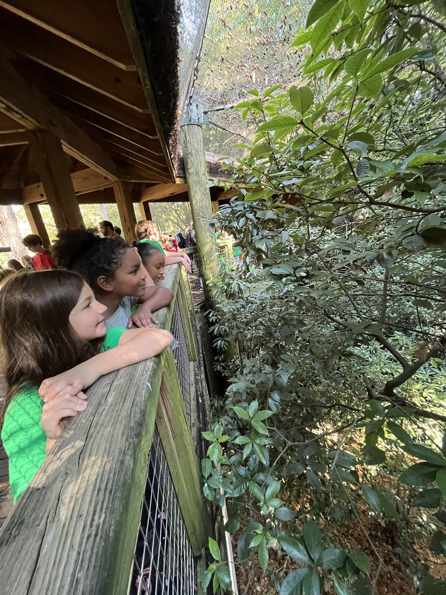 MrsFauldsRm217's tweet photo. Visiting the zoo as part of our investigation for our year long PBL project to build a zoo habitat for Georgia animals from each region. @ClarkCreekSTEM @CherokeeSchools https://t.co/1WyarzkVhR