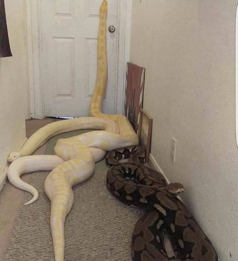 los 20 mil dólares que están detrás de la puerta son tuyos, qué haces?