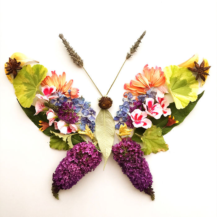 Beautiful Flower Art idea Butterfly by Collinshttps://funnyness.com/beautiful-flower-art-ideas-bridget-beth-collins 
#art #flowerart