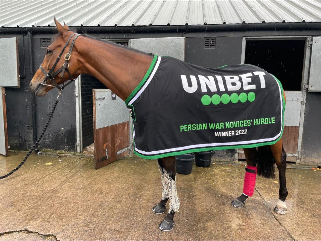 FOBRacing's tweet photo. Here’s Accidental Rebel in his winning rug before heading home to Ravenswell Farm #TeamOBM https://t.co/4yhnusvPMi