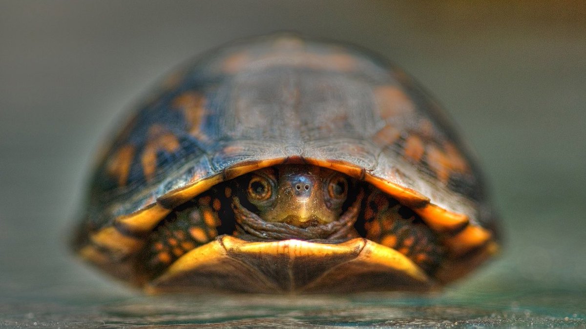 shyer than I used to be