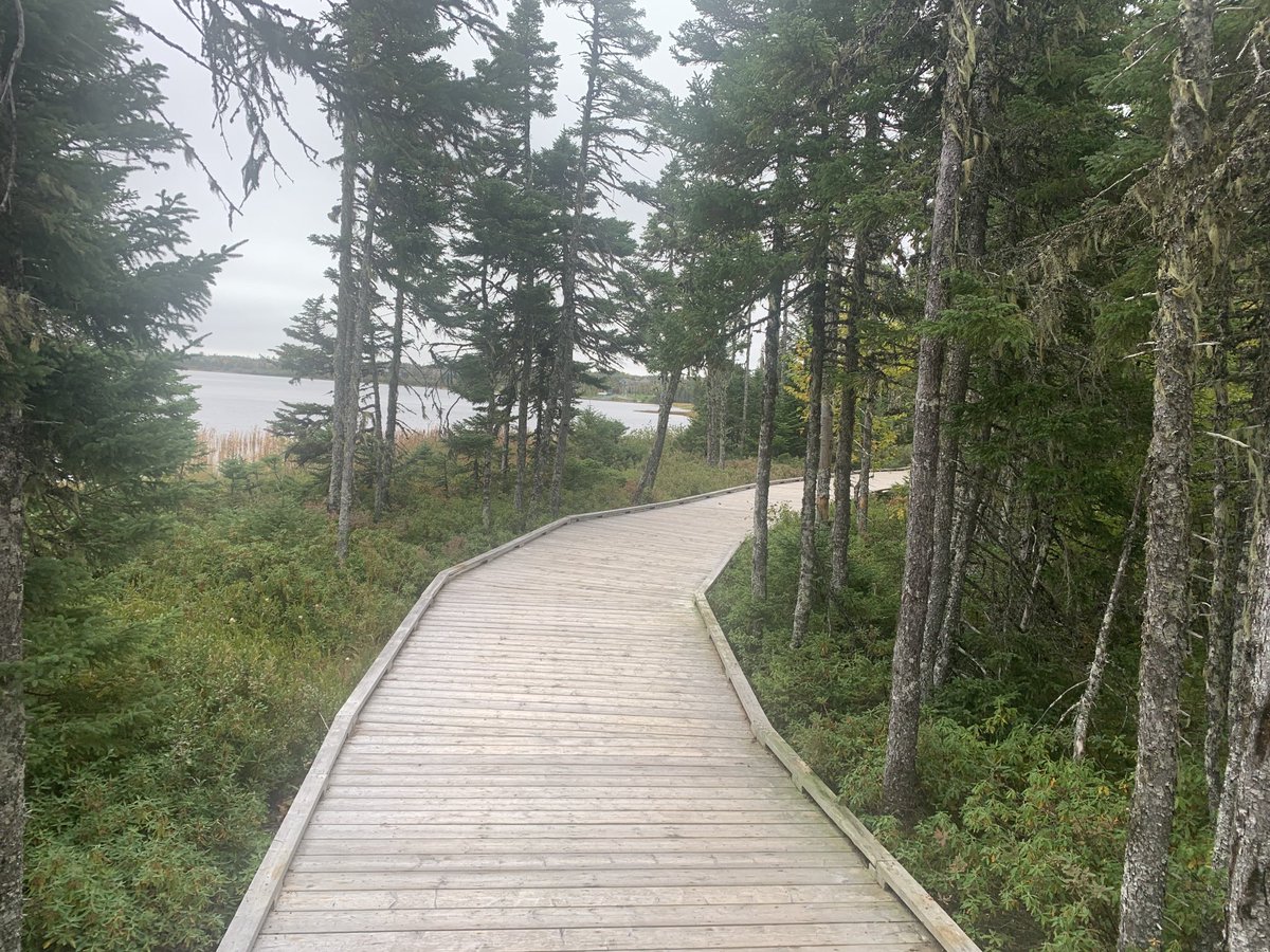 StuCowan1's tweet photo. Went for nice walk this morning on Cobb’s Pond Trail in Gander before heading to airport. Hard not to fall in love with Newfoundland. Such a beautiful place with the nicest people you will ever meet. #Habs #HabsIO https://t.co/53FEHoZIVG