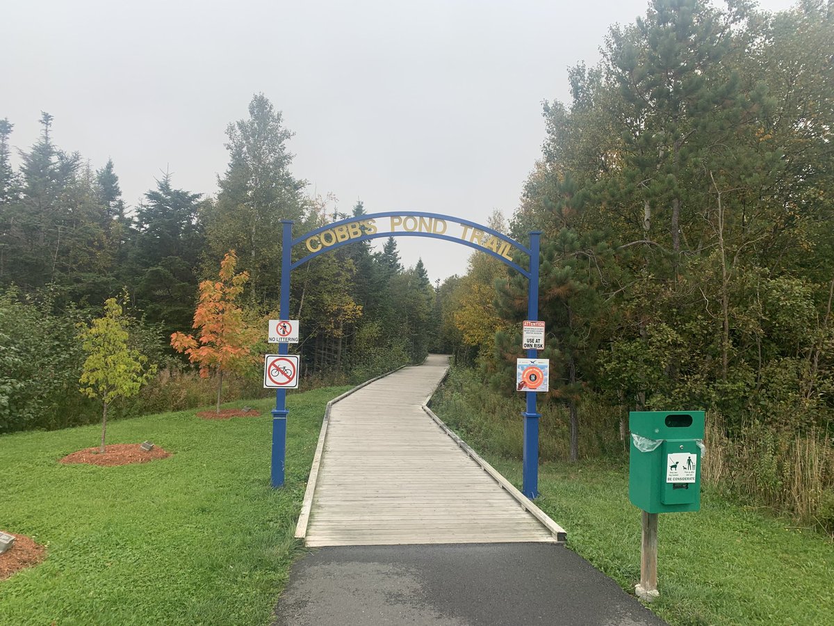 StuCowan1's tweet photo. Went for nice walk this morning on Cobb’s Pond Trail in Gander before heading to airport. Hard not to fall in love with Newfoundland. Such a beautiful place with the nicest people you will ever meet. #Habs #HabsIO https://t.co/53FEHoZIVG