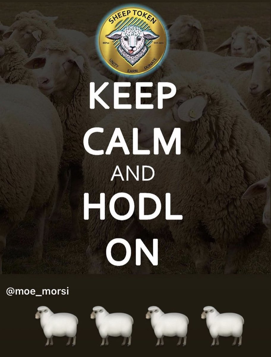 SheepTokenDeFi's tweet photo. @MMCrypto @SheepTokenDeFi https://t.co/wlwPEIHZRA