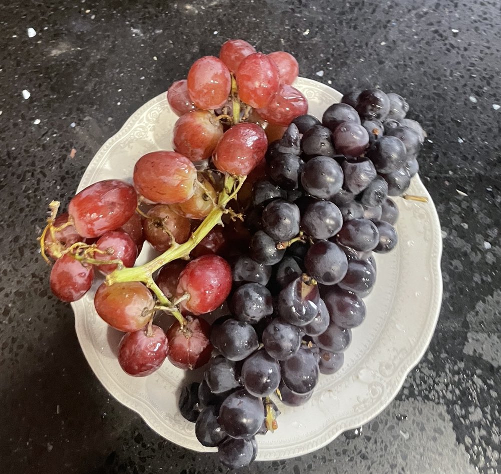 RawMaraby's tweet photo. This berry can help you regain your health
Dark Grapes are a very good source of resveratrol &anthocyanins. These possess antidiabetic, antitumor ,anti-inflammatory, antimicrobial, and antiobesity effects. Like & comment "steps" and I'll DM you a protocol(must follow) #grapecure https://t.co/hSwqJe7Joc
