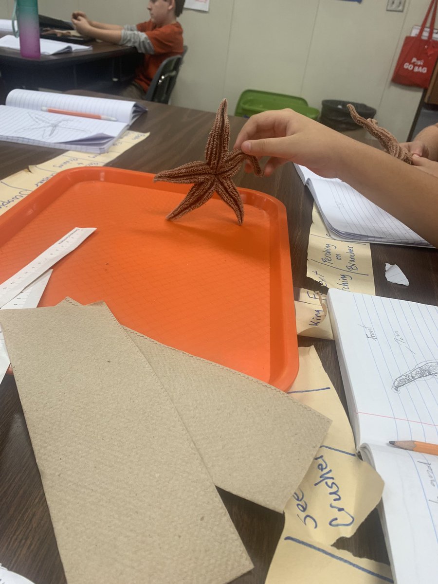 Zaina Dimassi (@mrs_dimassi) on Twitter photo Our students loved getting their hands on Sea Stars today! Thank you for this incredible lesson <a href="/CFISDScience/">CFISD Science</a> <a href="/CFISDPost/">Post Elementary</a> #discoveryourgift Our students loved getting their hands on Sea Stars today! Thank you for this incredible lesson <a href="/CFISDScience/">CFISD Science</a> <a href="/CFISDPost/">Post Elementary</a> #discoveryourgift