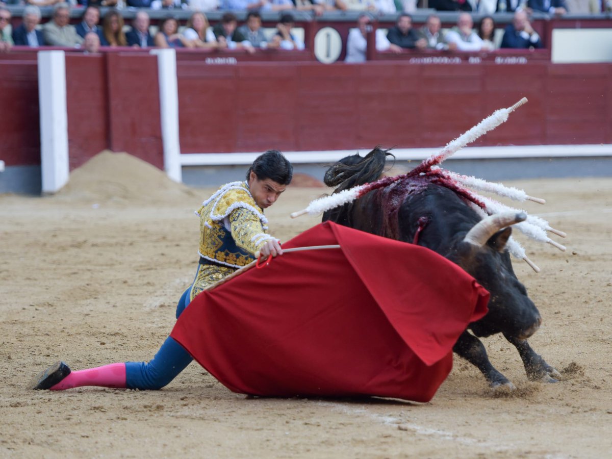 AVANCE LAS VENTAS.- Saluda Pablo Aguado tras el tercero #LasVentas #FeriadeOtono2022 <a href="/LasVentas/">Plaza de Las Ventas</a> <a href="/toros_ELPILAR/">Ganadería EL PILAR</a> <a href="/urdialesweb/">Diego Urdiales</a> <a href="/pabloaguadocom/">Pablo Aguado▪️Comunicación</a> <a href="/juanortegapr/">Juan Ortega</a> <a href="/alvaroramirezdc/">Álvaro Ramírez 📸</a>    burladero.tv/festejos/2022/…