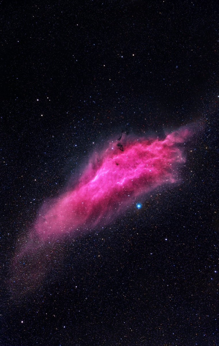 maiz_julio's tweet photo. 📷 NGC 1499 California Nebula Credit: Emil Ivanov https://t.co/ZbzoG8e6OB https://t.co/k53SqQ2T1w