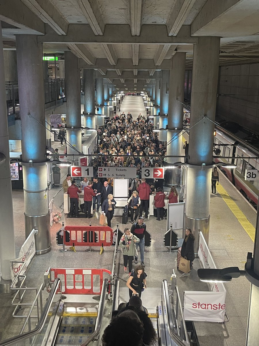 Mark Shaw tweet media