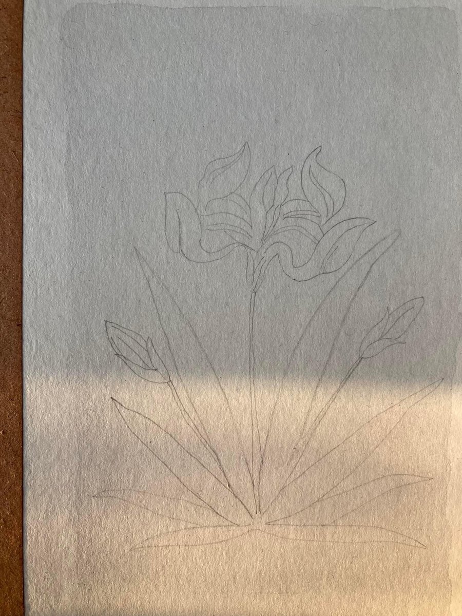 azmaasadart's tweet photo. 'Siyah Qalam' on Wasli. 🖌🌷 

#art #squirrelbrush #squirrelhair #handmadebrush #miniature #miniaturepainting #linepractice #miniaturetechnique #shells #siyahqalam #wash #graytone #watercolors #brush #wasli #wip #workinprogress #motif #bfa #azmaasad https://t.co/ImbXMglux9