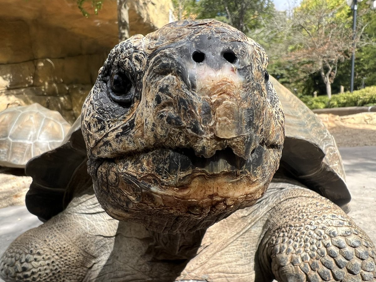 “Got any games on your phone?”