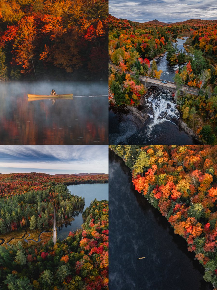 braybraywoowoo's tweet photo. a recap of the last few days 🍂 https://t.co/r4OQdtHHYV