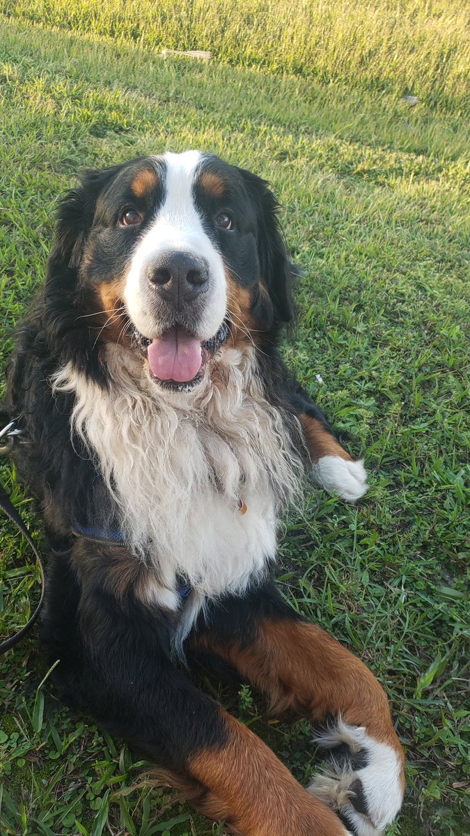 OpticalShadow's tweet photo. https://t.co/B58Mj1xDFP