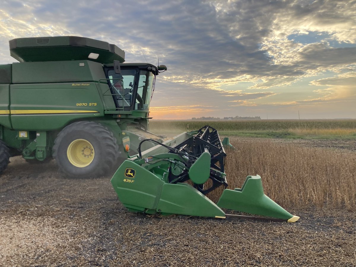 #harvest22 rolls on in Manitoba! Reynolds Food Grade soybeans are coming off in great shape. Talk to your local @CeresGlobalSeed dealer about the <a href="/Sevita_Int/">Sevita International</a> Food Grade Contracting Program. #soybeans #tofu #premiums