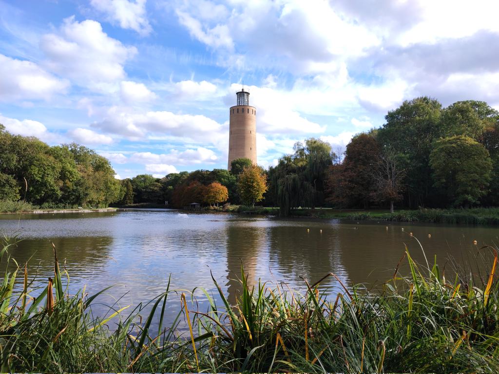 Jonas Mertens tweet media