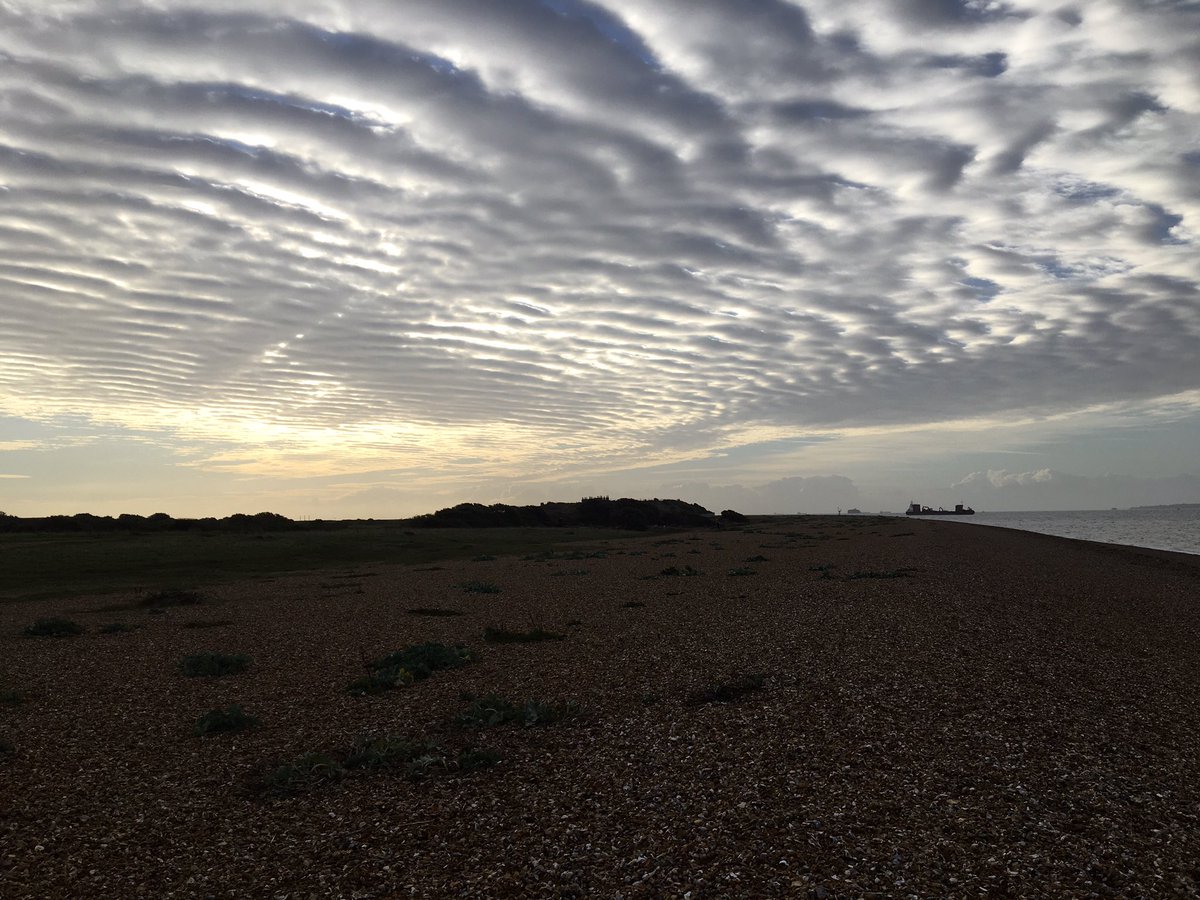 LMHooperbirder's tweet photo. Has been fairly good birding at Gilkicker the past week with finches on the move including Siskin, Bambling and Redpoll as well as Skylarks, Grey and Pied Wagtails, a Rock Pipit today with fem Pintail and Brent’s over the sea. Epic morning skies too https://t.co/YMS6cQekFR