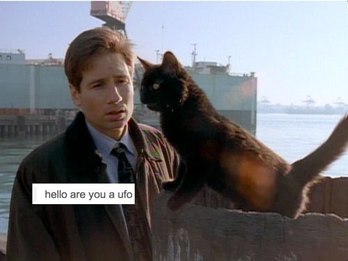 hazymetaphors's tweet image. My spouse sent this to me a while ago, but I’m still laughing about it.