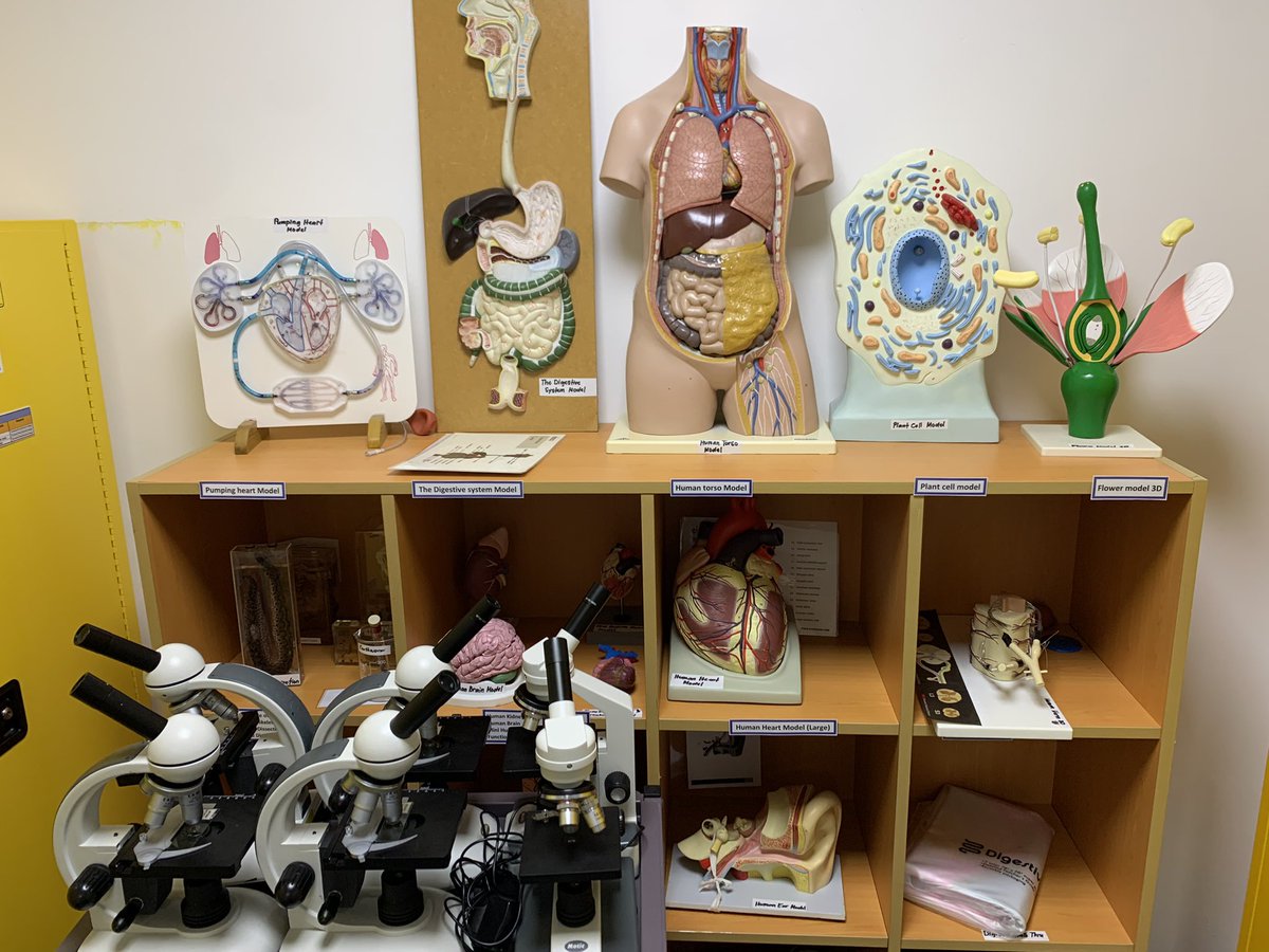 UIS_Science's tweet photo. Our outstanding science technicians (Temi and Jhey) ensure that science lessons have well organised resources! They prepare our outstanding wall displays and teach our students and staff how to use new techniques and equipment @UISDubai @Taaleem @UIS_Secondary #proudlytaaleem https://t.co/qTZwEe3oG6
