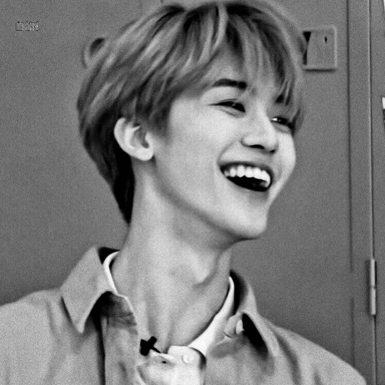 theanemones's tweet photo. endless love

“You will always be my endless love, Nicholas Zulee.”

a nomin au by theanemones https://t.co/zMXtu7x1sU