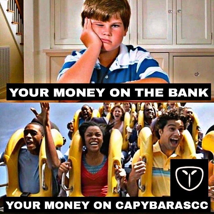 Kapanwinnyaini's tweet image. My entry sir 🙏
@CapybarasCC 
#CapyMemeContest #CapybarasCC #CapyCountryClub