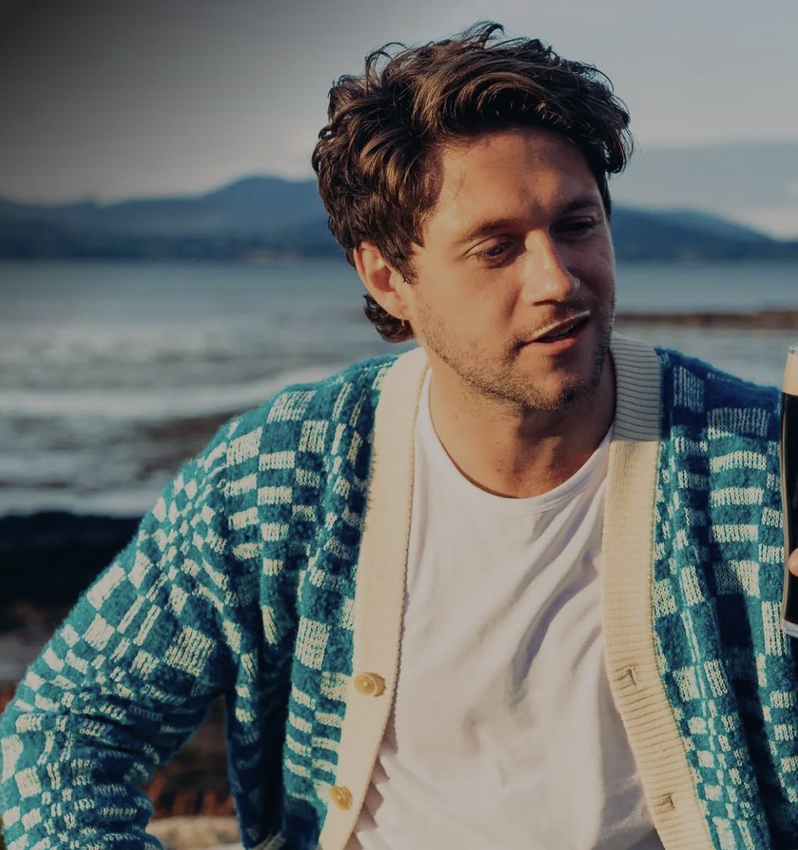 NiallHDailyNews's tweet photo. Niall Horan and Lewis Capaldi for Guinness! https://t.co/due8odW4WA