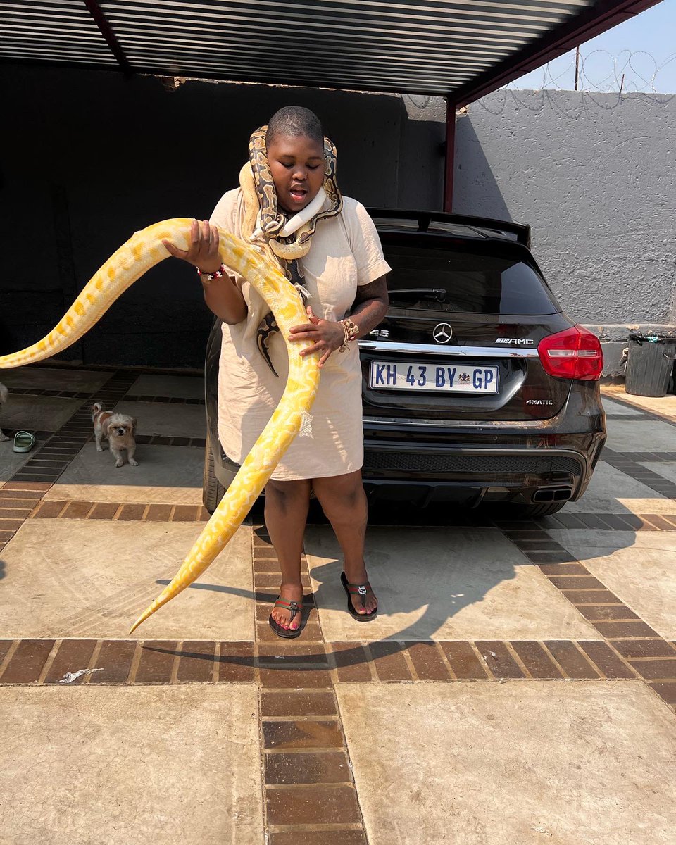 GogoMaweni's tweet photo. Snake Gang 🐍💰 #maweni https://t.co/dp6duKk9vC