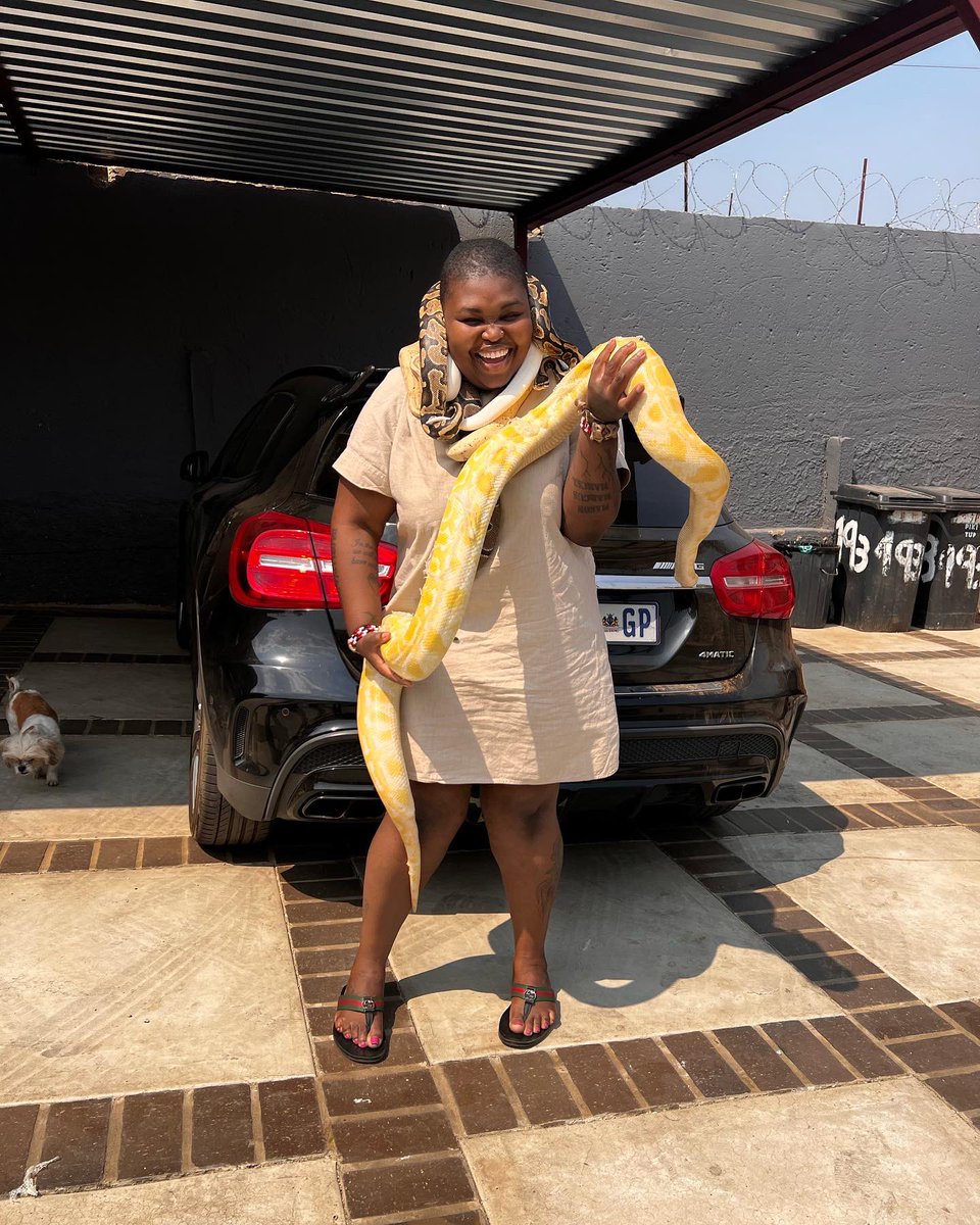 GogoMaweni's tweet photo. Snake Gang 🐍💰 #maweni https://t.co/dp6duKk9vC