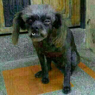 zeet1nho tweet media
