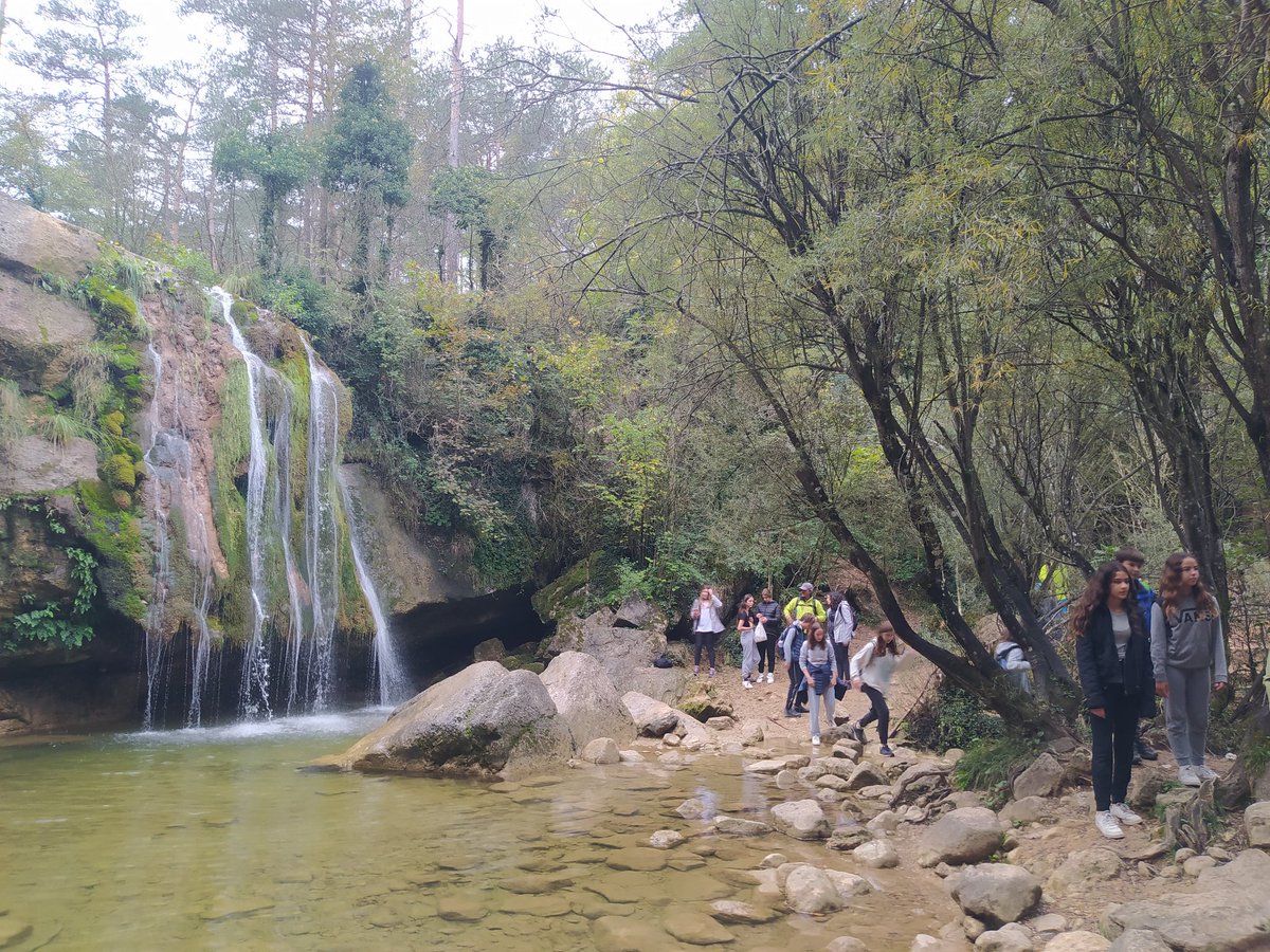 _palspedrespinyes tweet media