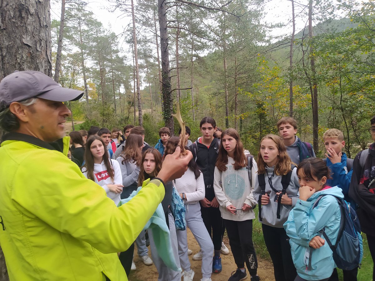 _palspedrespinyes tweet media