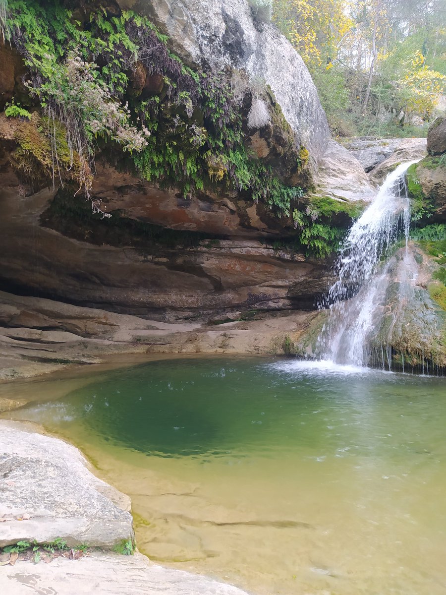 _palspedrespinyes tweet media