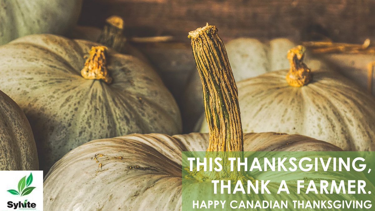 SylviteAg's tweet photo. Wishing everyone a happy + healthy Canadian Thanksgiving weekend. Remember, on top of giving thanks for the food you eat, let's also give thanks to those who grow it. #thanksgiving #food #ontag #farming #harvest22 https://t.co/9SaiR03eNG