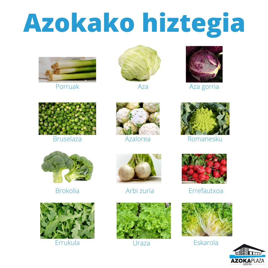 Azokako udazkeneko hiztegia.
#bertakoaelikatuz #bertakoaetagaraikoa #azoka #barazkietafrutak #hiztegia #Azpeitia #kontsumitubertakoaetagaraikoa