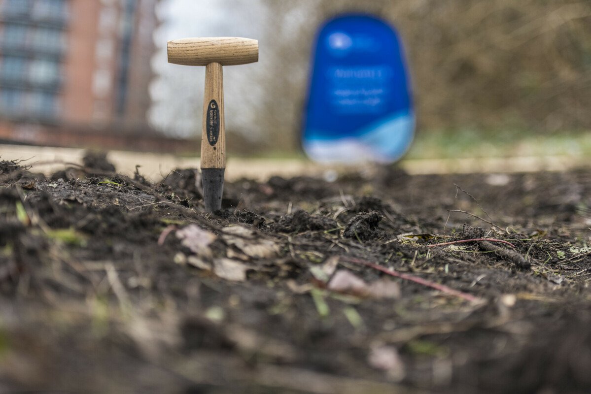 We're looking for volunteers in the #Walsall area to help with a project to restore and expand heathlands along our canals as part of our nature recovery project. Interested? More info can be found here canalrivertrust.org.uk/volunteer/oppo… <a href="/WalsallCouncil/">Walsall Council</a> <a href="/WalsallACTION/">Walsall ACTION</a>