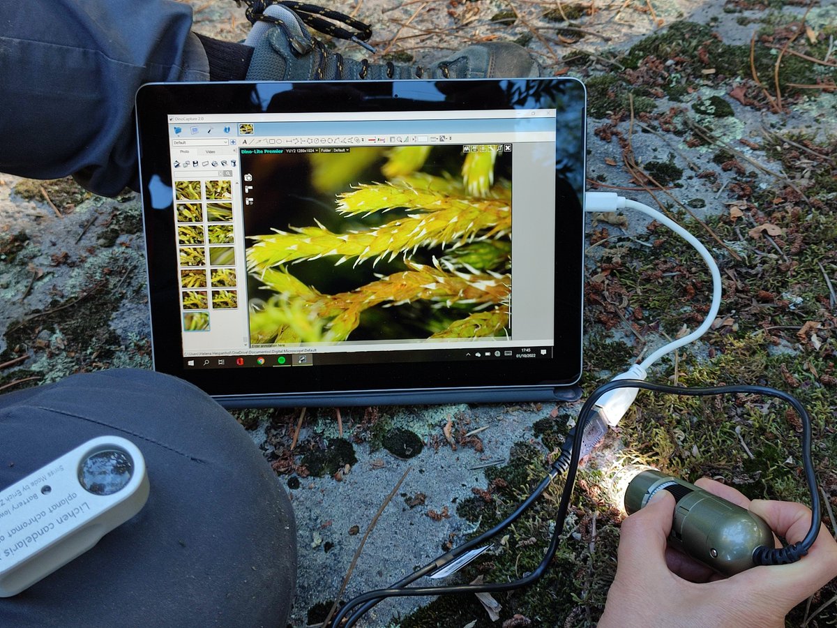 BryoMicroClim tweet media