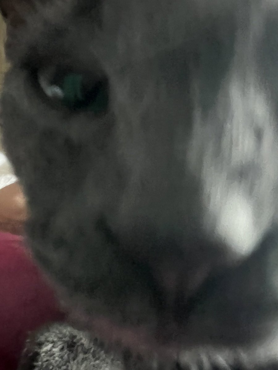 jackjackredd's tweet photo. You got games on your phone? https://t.co/9aq9aIHoNR