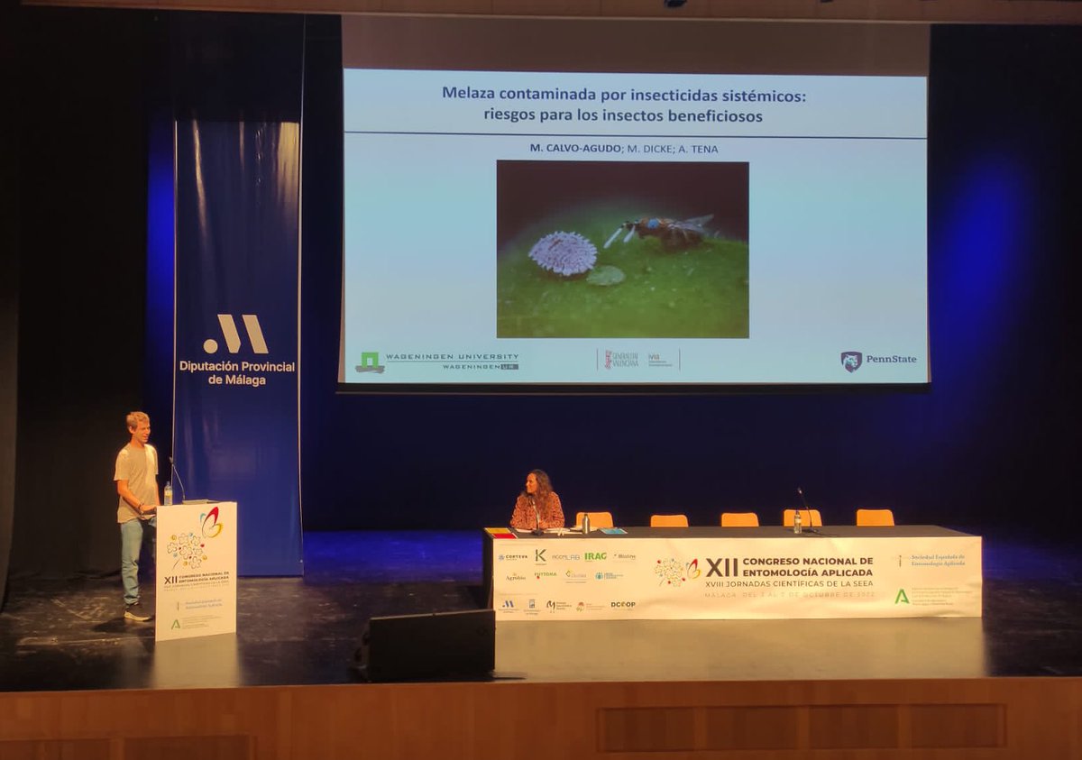 MiguelCalvo_'s tweet photo. Presentando los resultados “Melaza contaminada por insecticidas sistémicos: riesgos para los insectos beneficiosos” en el XII Congreso Nacional Entomologia Aplicada, XVIII Jornadas científicas de la SEEA 🐝🐞 https://t.co/uQ7t8Tu3gV