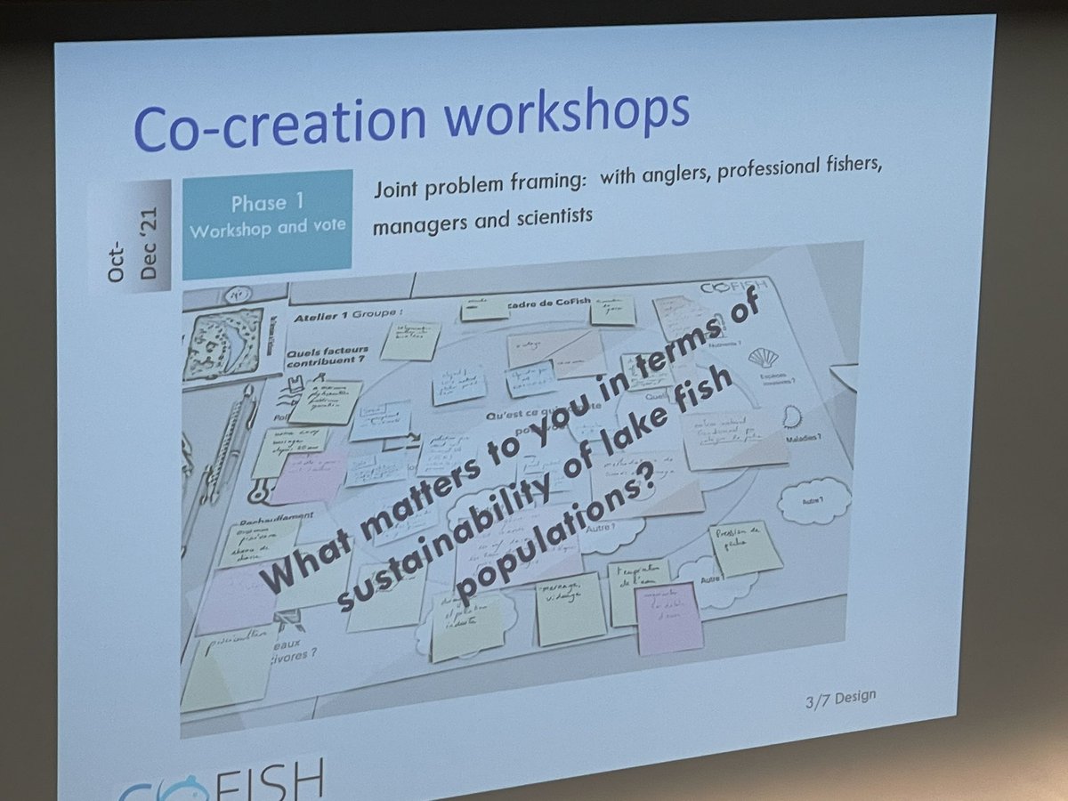 Dule Misevic tweet media