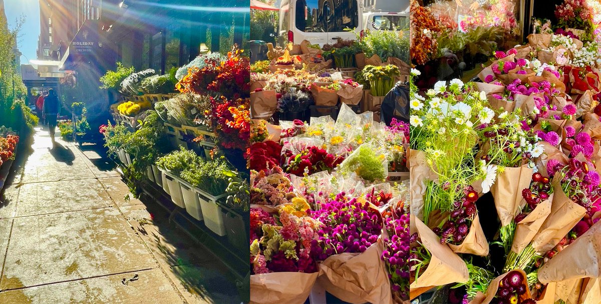 My street this October 7th morning. Been upstate writing (on the sequel to THE LAST MONA LISA, yes, still, but it's coming), and always happy to come home to my extraordinary NYC flower market street.