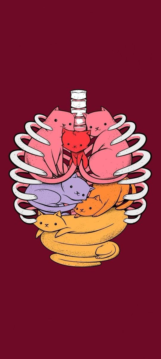 The truth is in the answer to a question, why is it the Shiba team's responsibility to program and restart the BP?
Does the Shiba team feel responsible for the Ryoshi's Vision team and project?!
💣Everything is predetermined.

💎We play the role of lungs for dog breathing...!