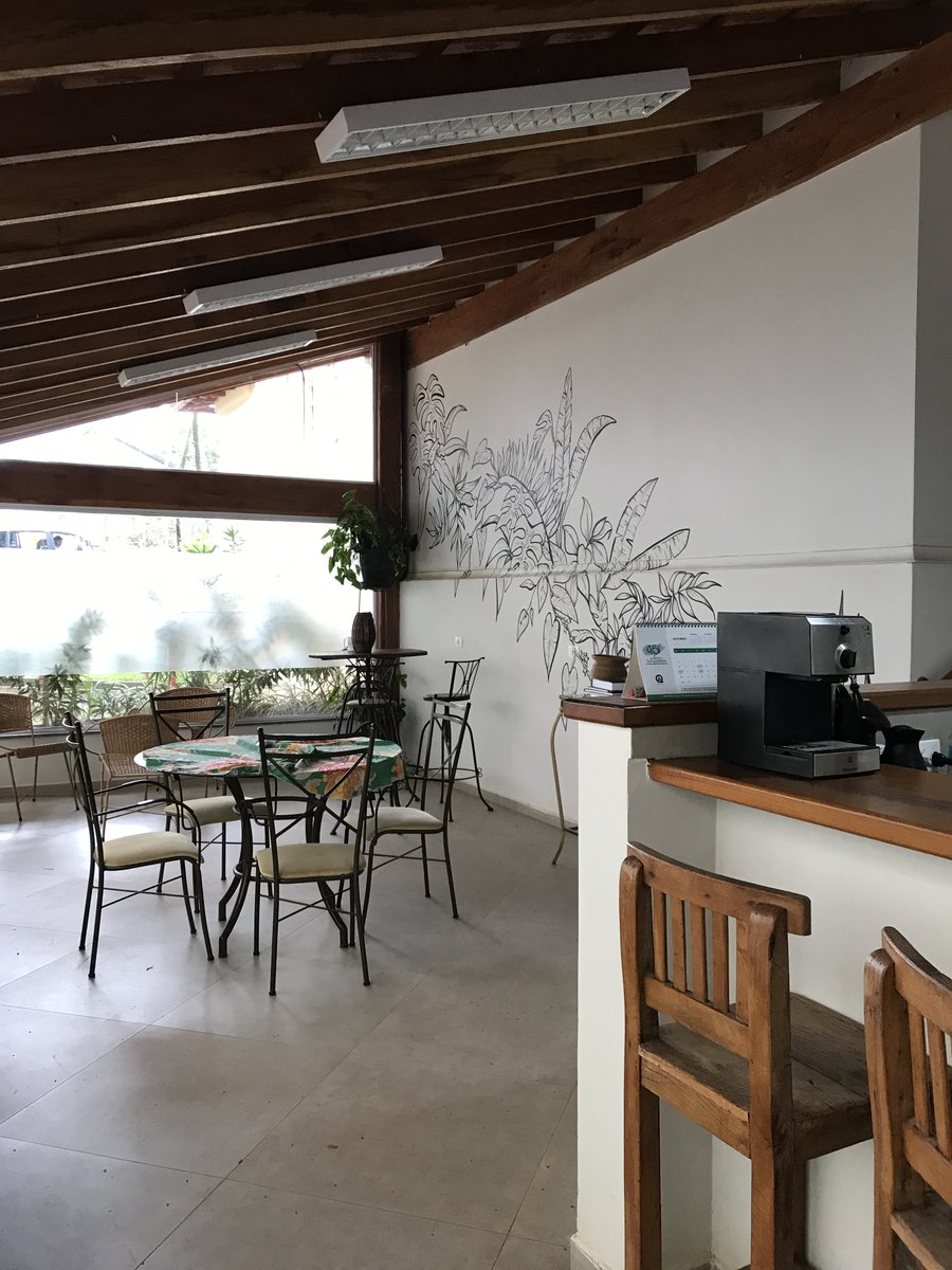 Neotropical Tree Communities database tweet media