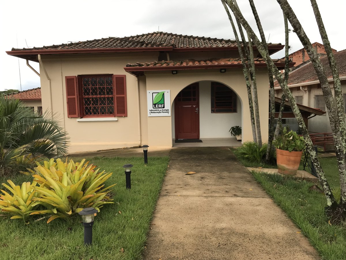 Neotropical Tree Communities database tweet media