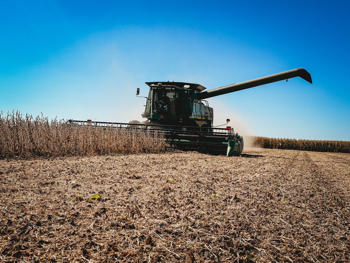 Megan (Ott) Olson tweet media