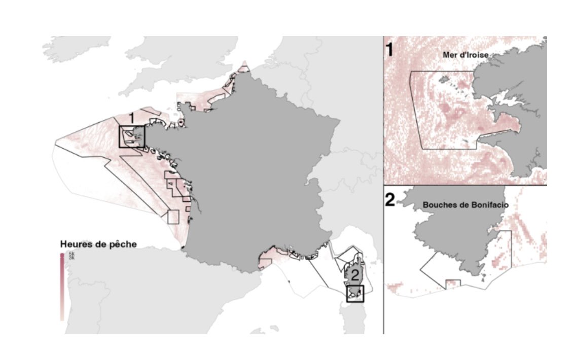 ClaireNouvian's tweet photo. 11/22 : La période d’analyse allant du 1er janvier 2015 au 31 juillet 2022 révèle que les navires industriels passent désormais autant de temps dans les aires marines dites « protégées » que dans les eaux qui ne le sont pas. https://t.co/COsXfMwoPf