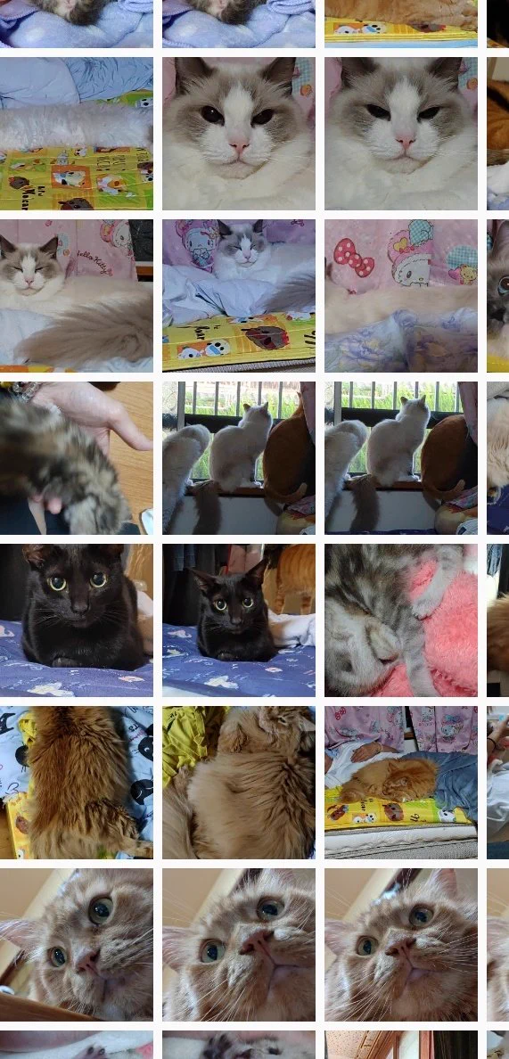 @kyuryuZ わかりみが深い……… 