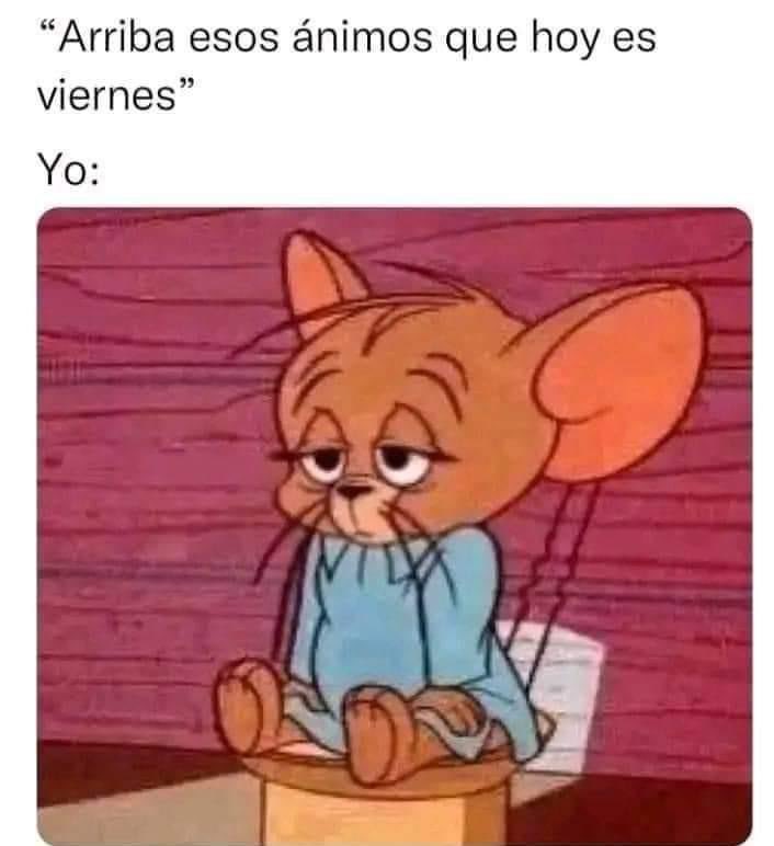 MeryMendivil's tweet photo. Yo siendo mas gripa que gente y la lluvia atormentándome la vida https://t.co/4e84Kj97O3