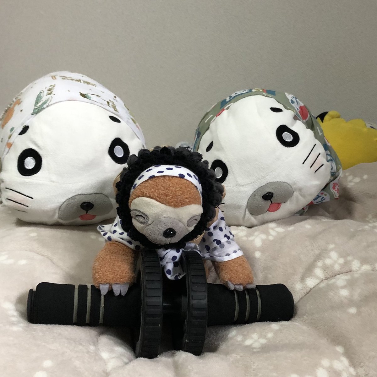 hechiriq's tweet photo. ナマケモノのジュマが腹筋ローラーで慎重に筋トレを頑張っています！！！
ゴマちゃん達も応援しています♪

#ナマケモノ　#ゴマちゃん　#少年アシベ　#腹筋　#スポーツの秋 https://t.co/L4Xwidlzv8