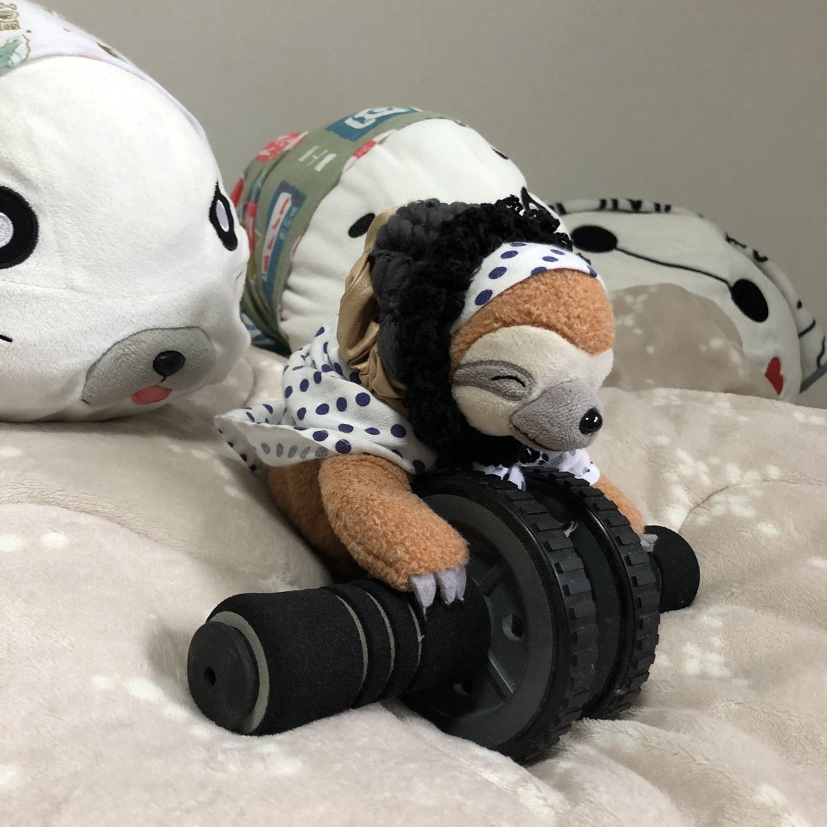 hechiriq's tweet photo. ナマケモノのジュマが腹筋ローラーで慎重に筋トレを頑張っています！！！
ゴマちゃん達も応援しています♪

#ナマケモノ　#ゴマちゃん　#少年アシベ　#腹筋　#スポーツの秋 https://t.co/L4Xwidlzv8