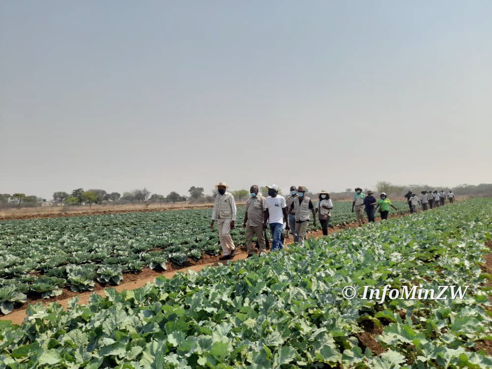 nickmangwana's tweet photo. This is the newly established Sipambi Irrigation Scheme in Masvingo West where horticultural activities have changed the lives of the local community. ED walks the talk. Lives are being transformed, and poverty is being run out of town. https://t.co/pimJvs609L